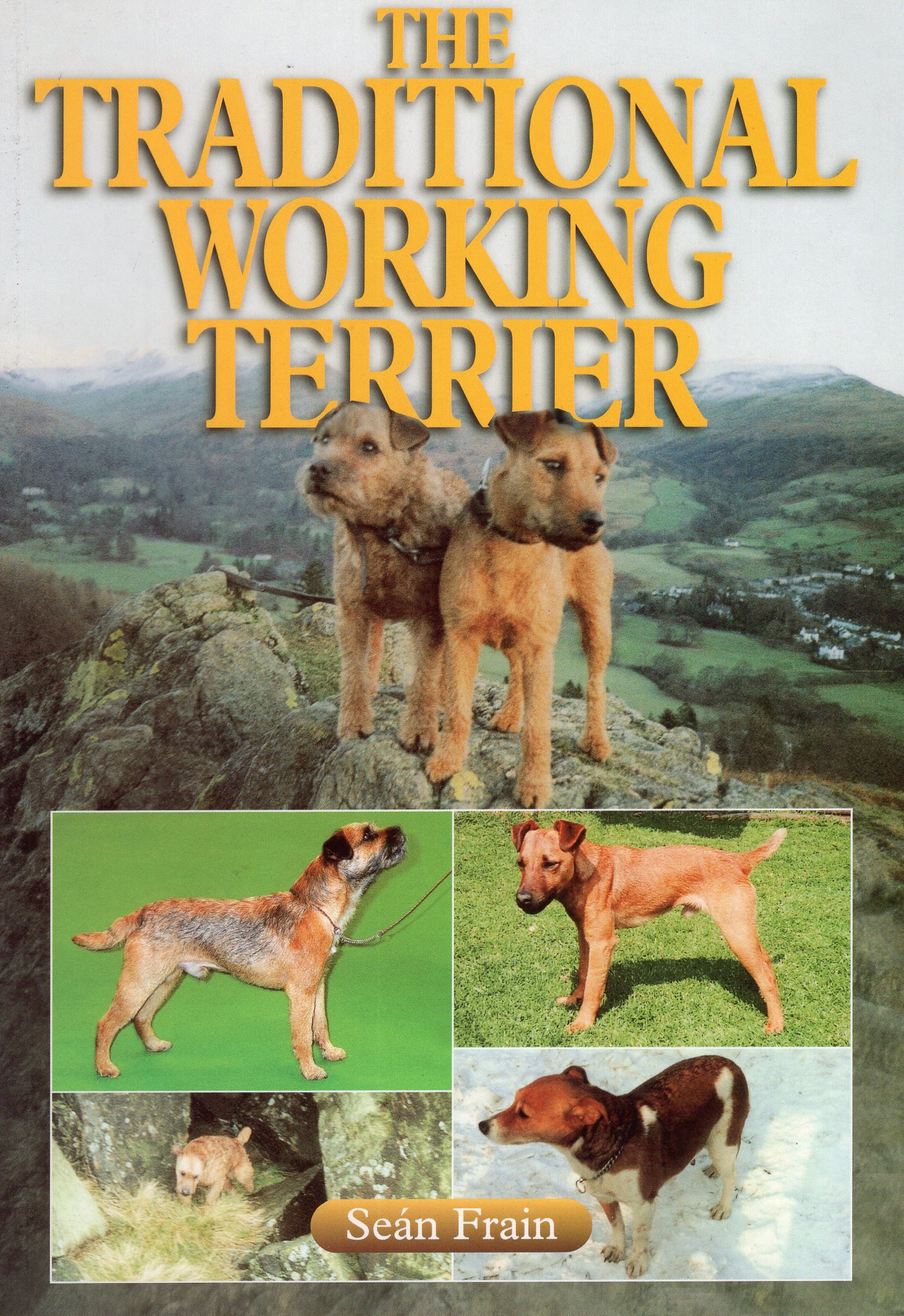Felland terrier hot sale