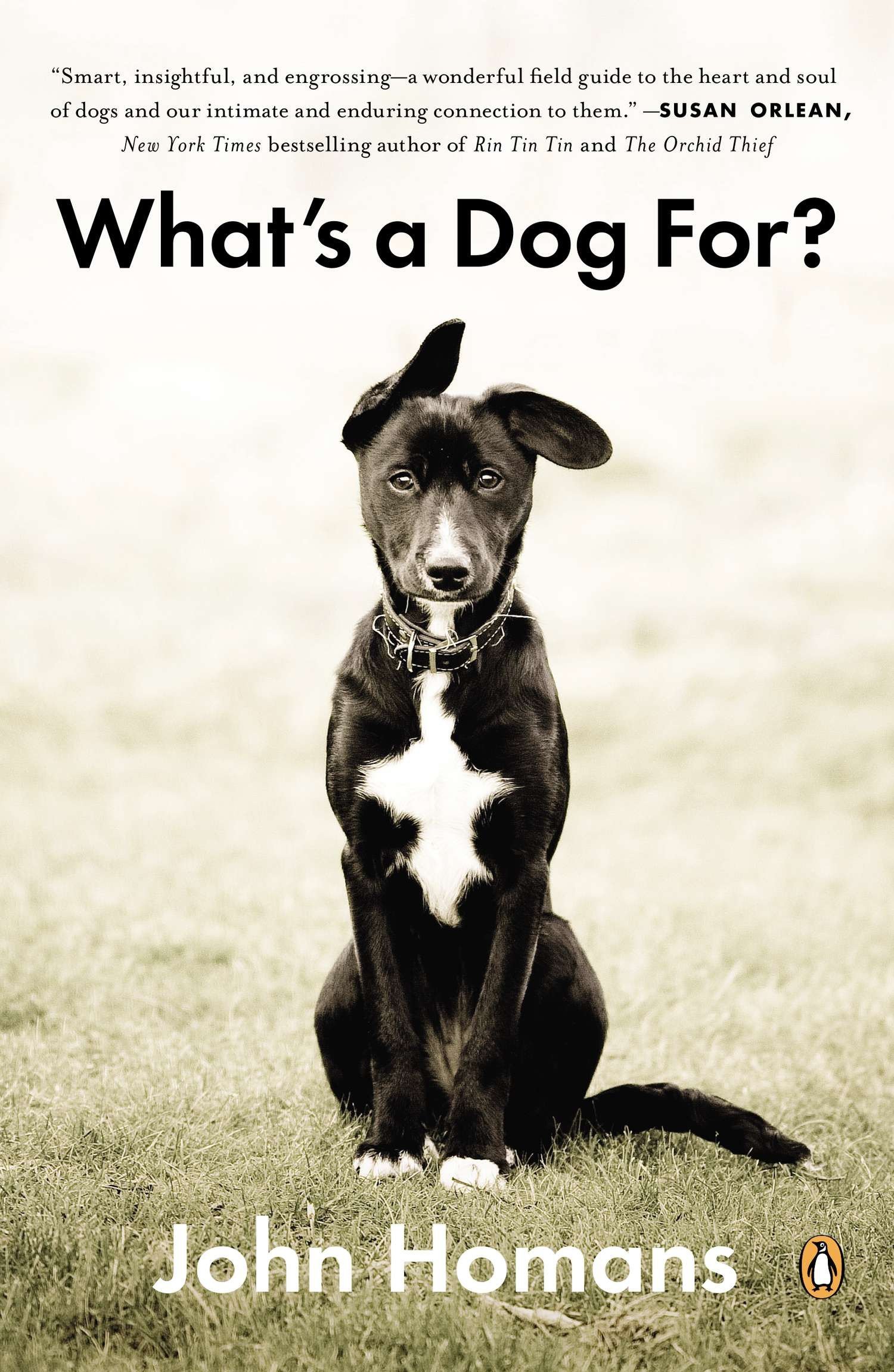 What's a Dog For?: The Surprising History, Science, Philosophy, and  Politics of Man's Best Friend - Main Image