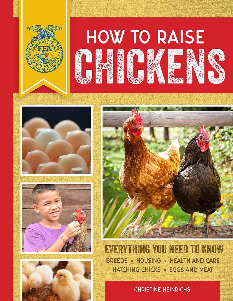 How to Raise Chickens Everything You Need to Know, Updated & Revised