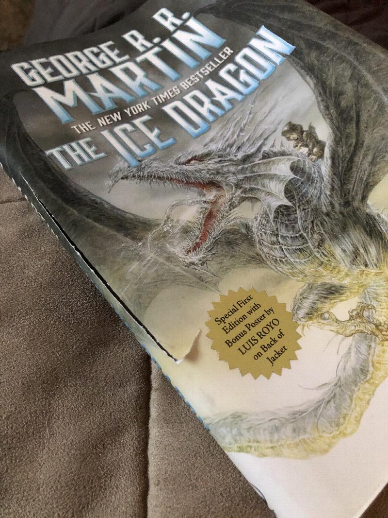 The Ice Dragon by George R. R. Martin, Luis Royo, Hardcover