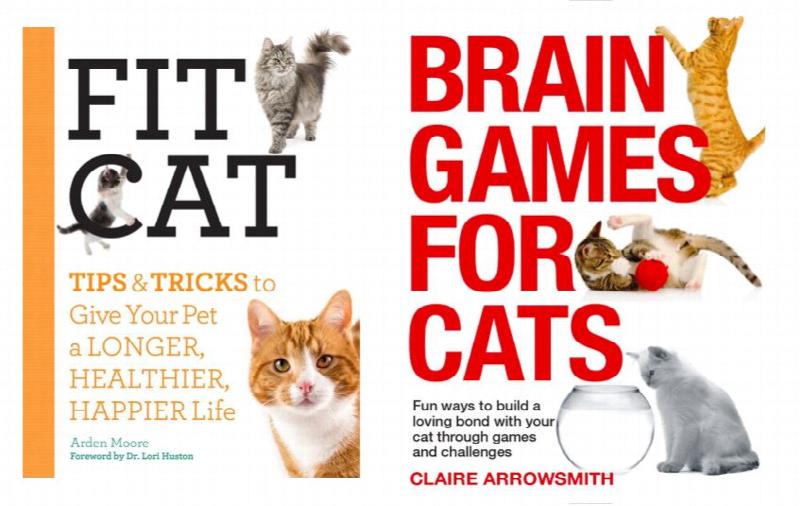 Lot of Two New CAT Books : Fit Cat and Brain Games for Cats